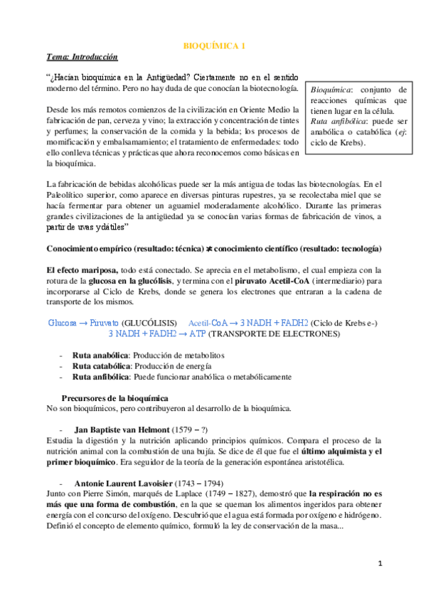 Miniatura del documento Introduccion.pdf