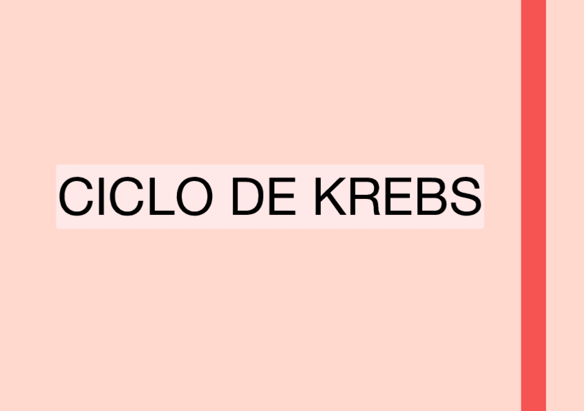 Miniatura del documento CICLO-DE-KREBS.pdf