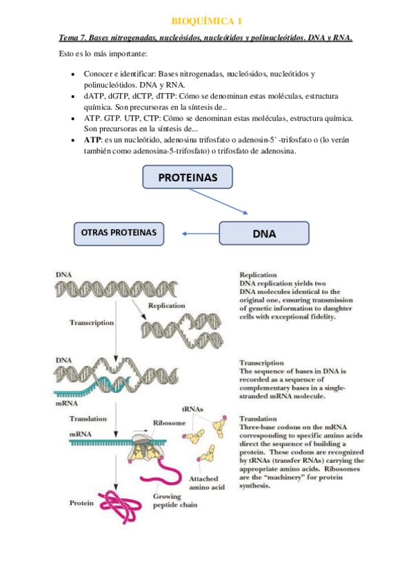 Miniatura del documento Tema-7.pdf