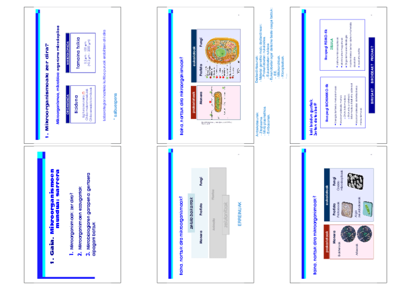 Miniatura del documento 1.pdf