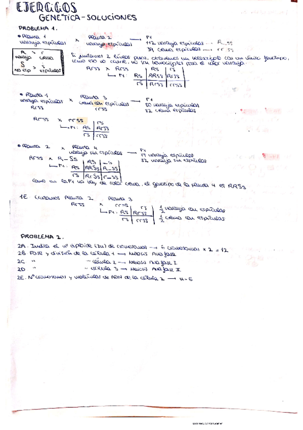 Miniatura del documento Serie-de-problemas-Resuelta.pdf