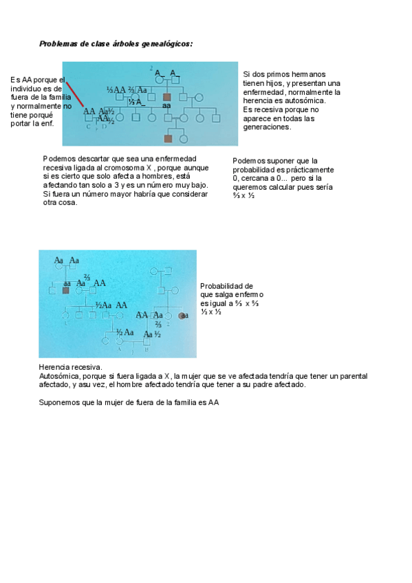 Miniatura del documento Ejercicios-Arboles-Genealogicos-de-clase.pdf
