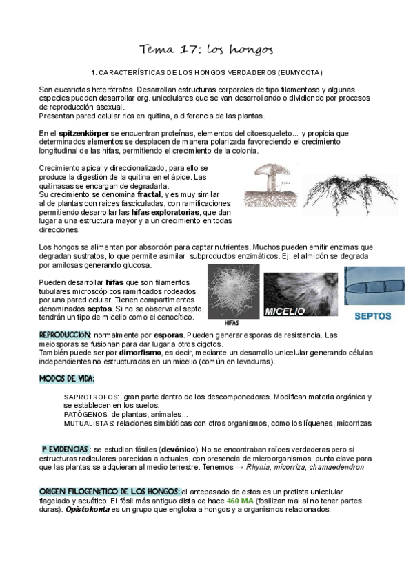 Miniatura del documento T17Hongos.pdf