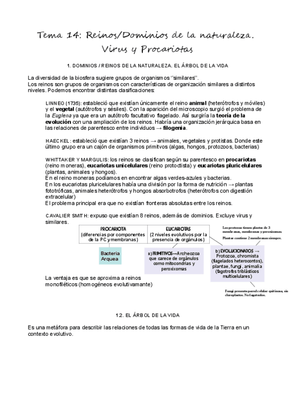 Miniatura del documento T14Reinos-Virus-y-Procariotas.pdf