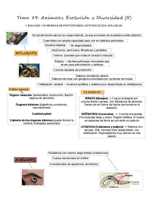 Miniatura del documento T19Animales2.pdf