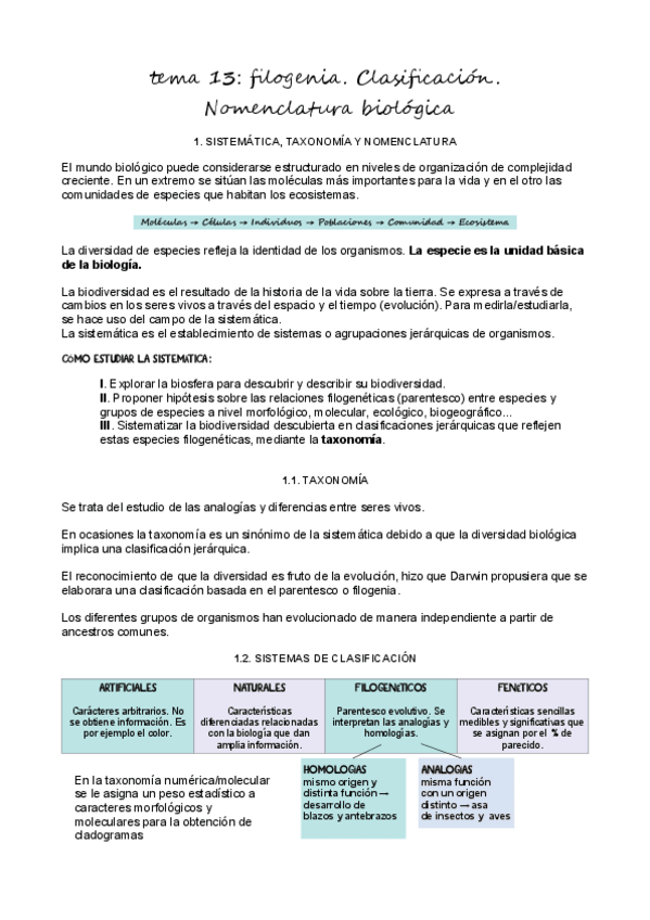Miniatura del documento T13Filogenia.pdf