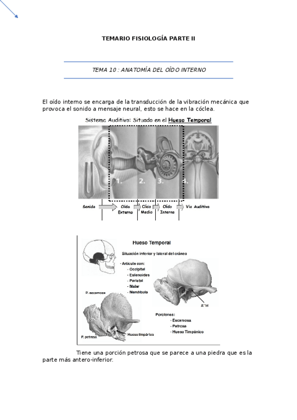 Miniatura del documento Temario fisiología.pdf