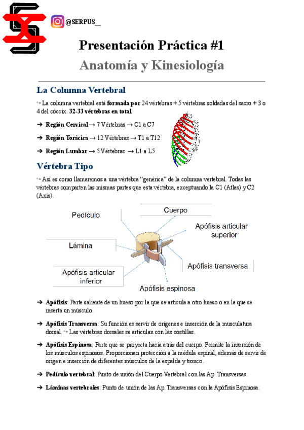 Miniatura del documento Anatomia-y-Kinesiologia-APUNTES-Practica-1.pdf