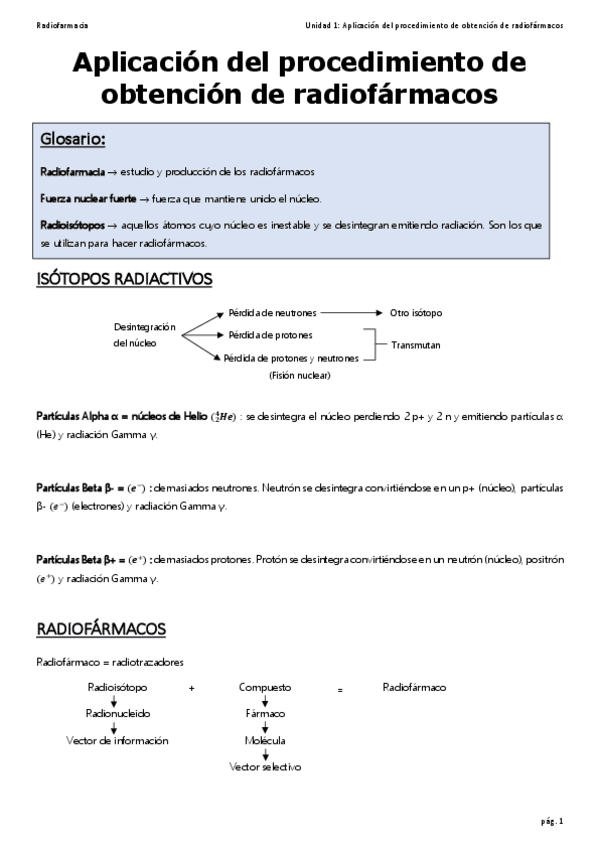 Miniatura del documento 1.pdf