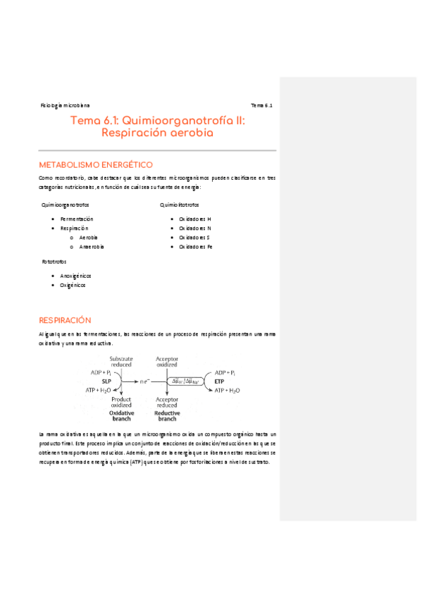 Miniatura del documento 6.pdf