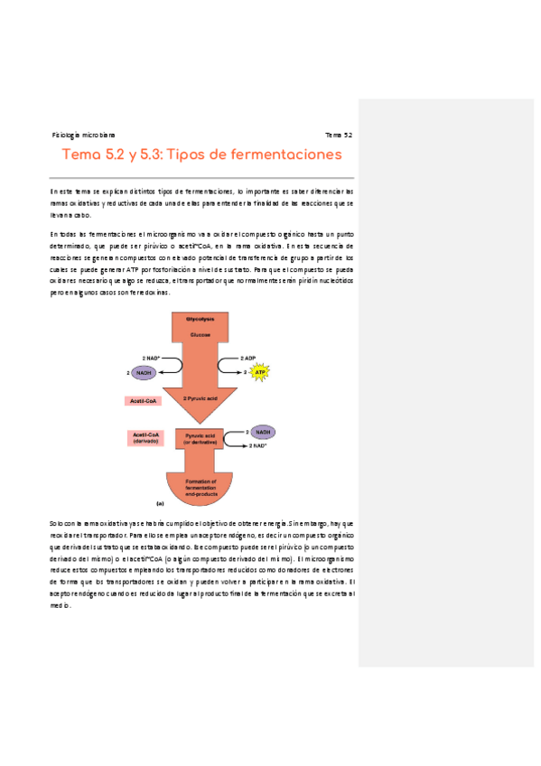 Miniatura del documento 5.pdf