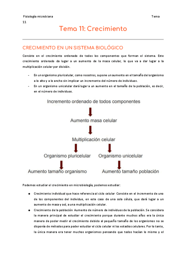 Miniatura del documento 11.pdf