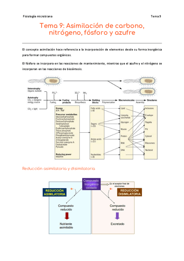 Miniatura del documento 9.pdf