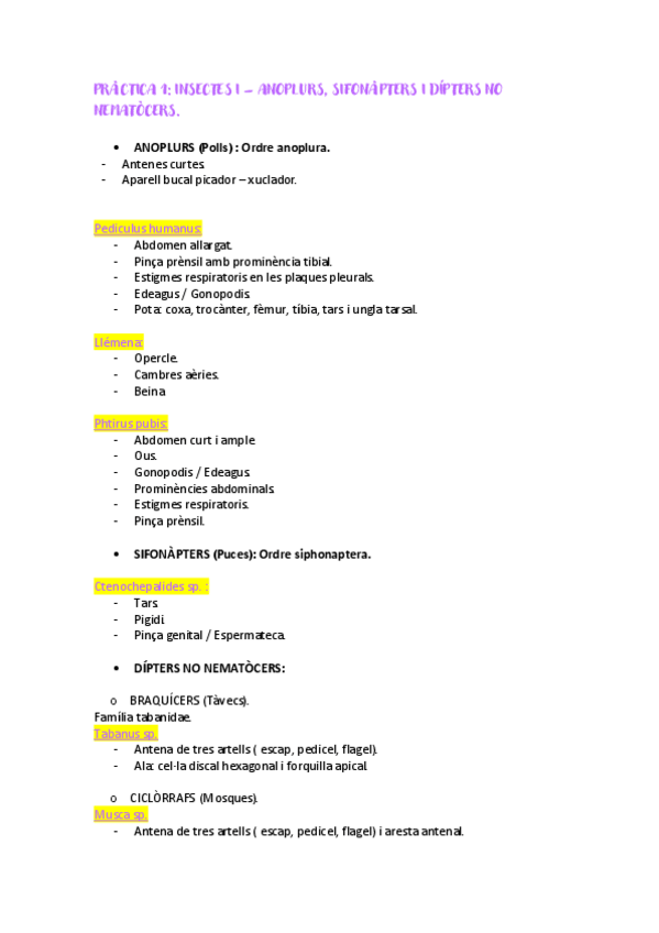 Miniatura del documento apunts-practiques.pdf