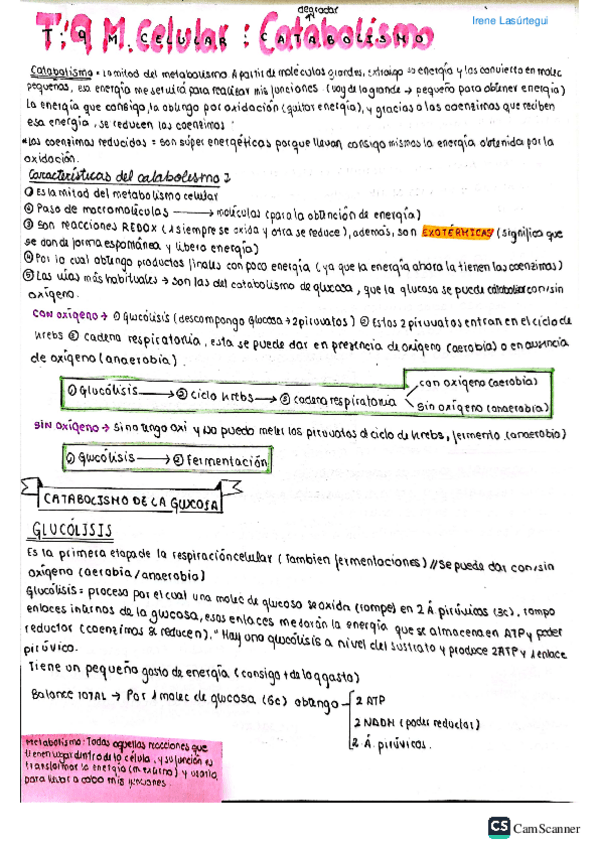 Miniatura del documento Tema-9-Catabolismo-y-Anabolismo.pdf