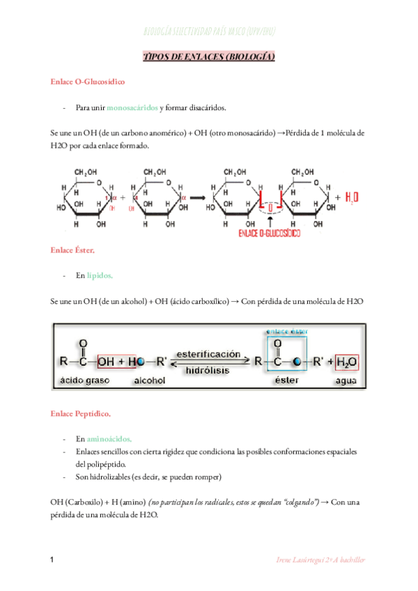 Miniatura del documento TIPOS-DE-ENLACES-BIOLOGIA.pdf