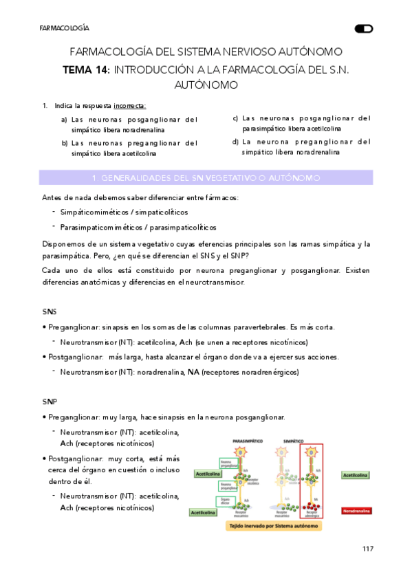 Miniatura del documento TEMA 14 - Introducción SN. Autónomo