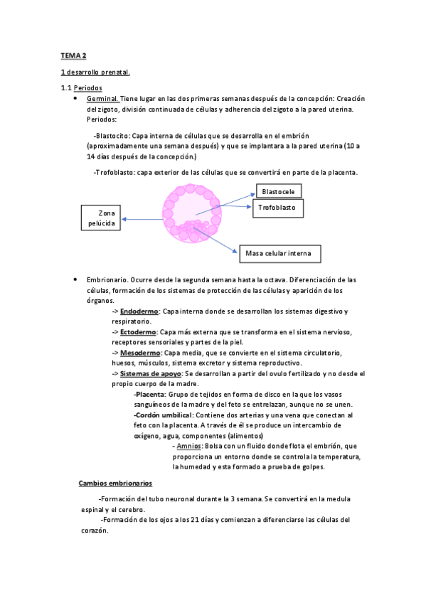 Miniatura del documento Tema-2.pdf