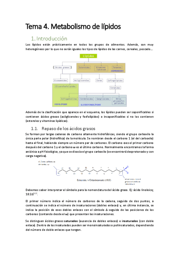 Miniatura del documento Tema-4.pdf
