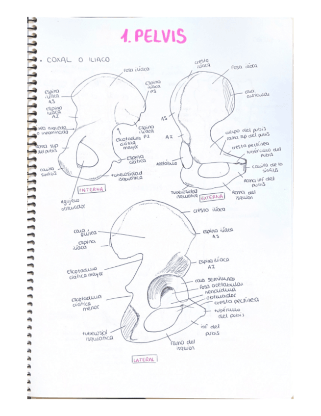 Miniatura del documento Miembro-inf.pdf