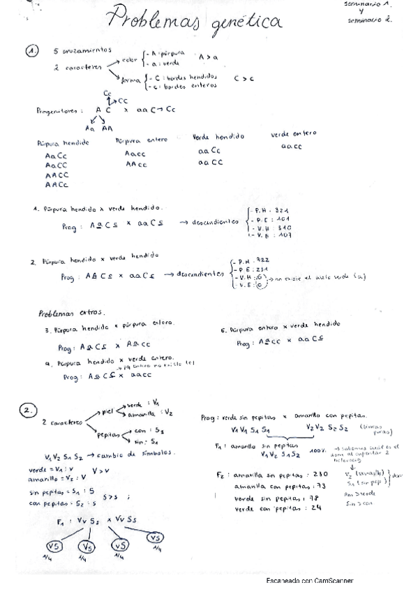 Miniatura del documento seminarios.pdf