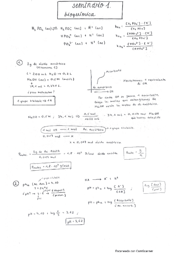Miniatura del documento Seminarios.pdf