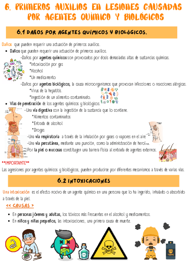 Miniatura del documento Tema-6-primeros-auxilios.pdf