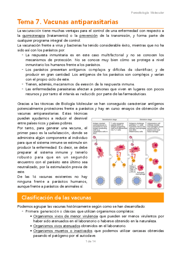 Miniatura del documento TEMA-7.pdf