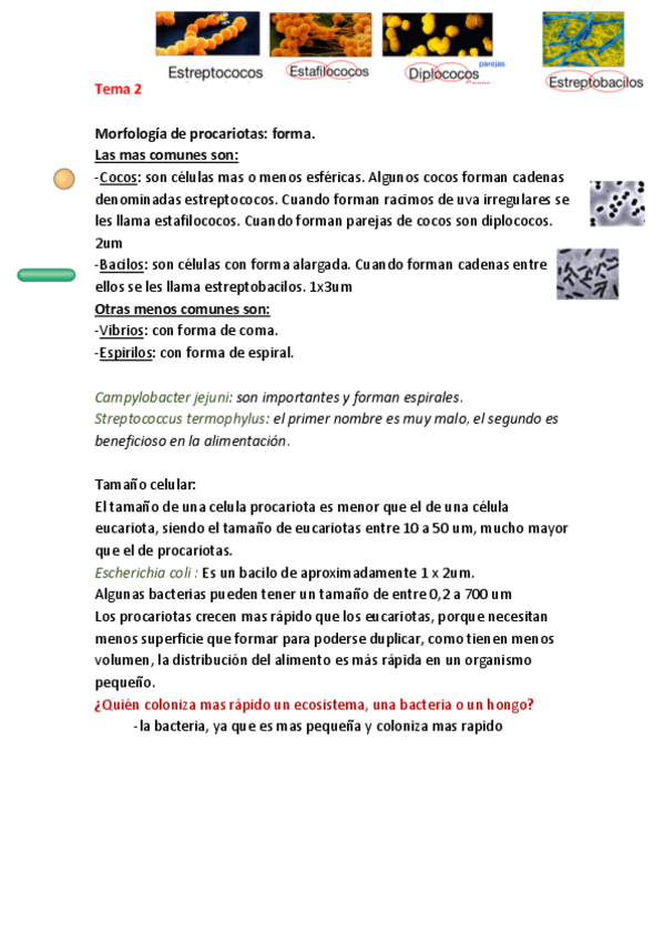 Miniatura del documento TODO.pdf