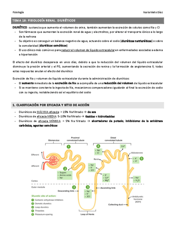 Miniatura del documento TEMA 8 - Compartimentos líquido corporal