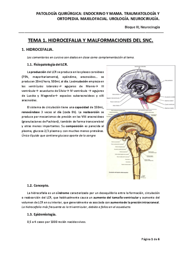 Miniatura del documento TEMA-1.pdf