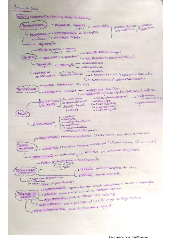 Miniatura del documento Apuntes-temas-1-5-bioquimica-EVAU.pdf