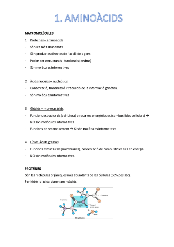 Miniatura del documento aminoacids.pdf