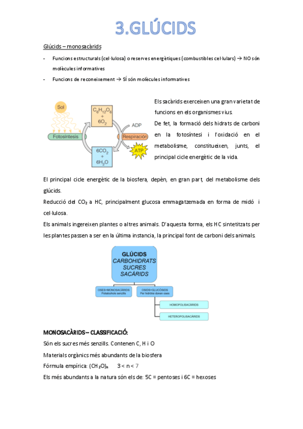 Miniatura del documento glucids.pdf