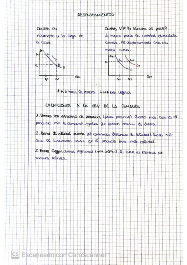 Miniatura del documento La-Demanda.pdf