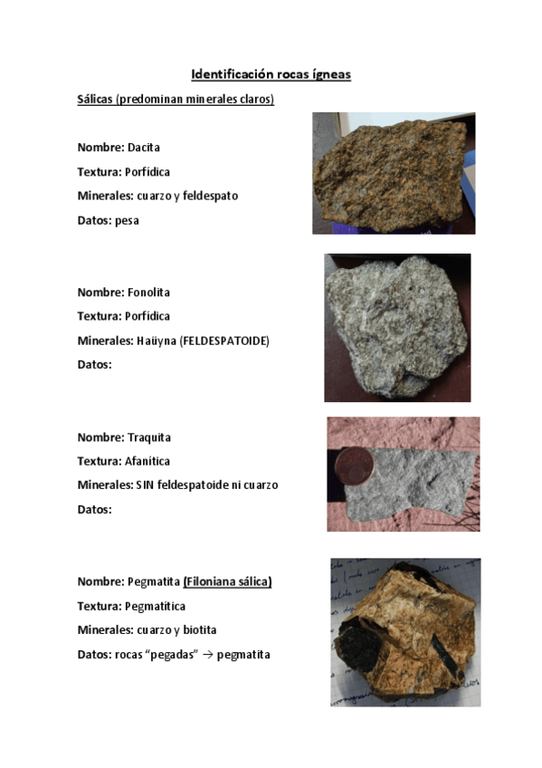 Miniatura del documento Identificacion-rocas-igneas.pdf