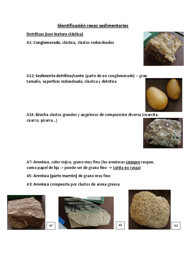 Miniatura del documento Identificacion-rocas-sedimentarias.pdf