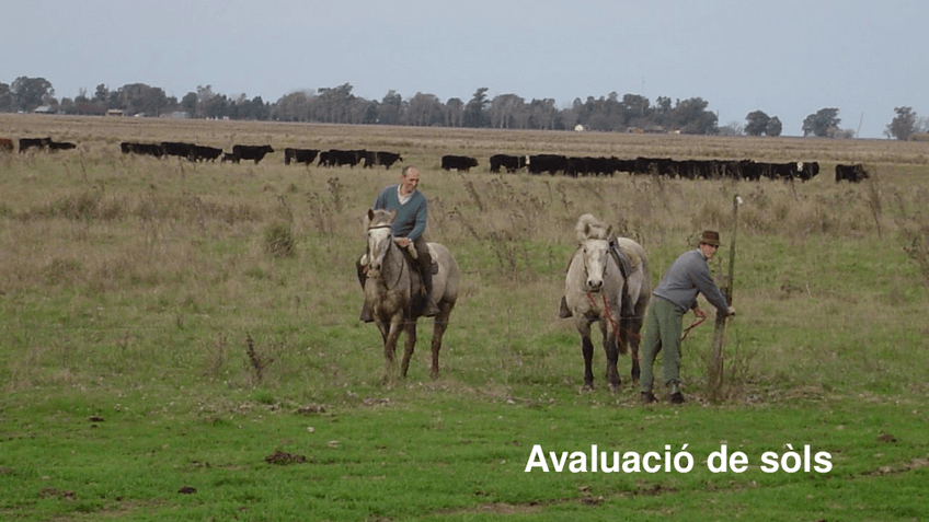 Miniatura del documento T16Avaluaciodesols.pdf