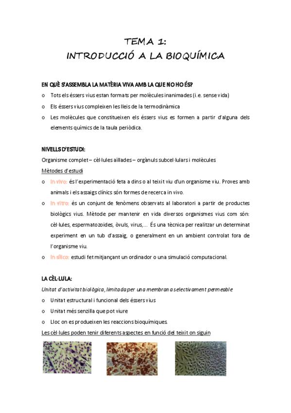 Miniatura del documento introduccio.pdf