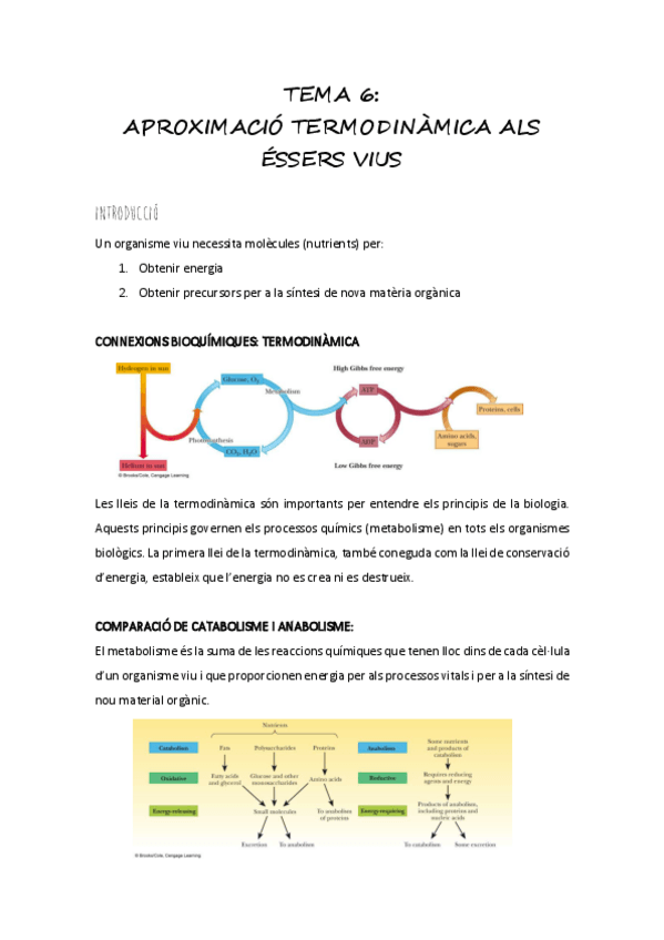 Miniatura del documento aproximacio-termodinamica-als-essers-vius.pdf