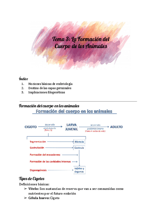 Miniatura del documento Tema-3-Zoologia.pdf