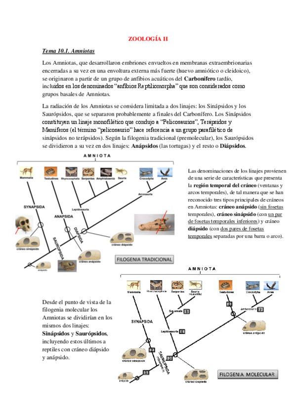 Miniatura del documento Tema-10.pdf