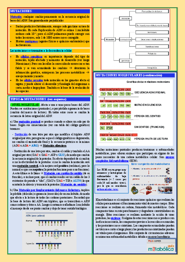 Miniatura del documento Genetica-Clinica-interactivo.pdf