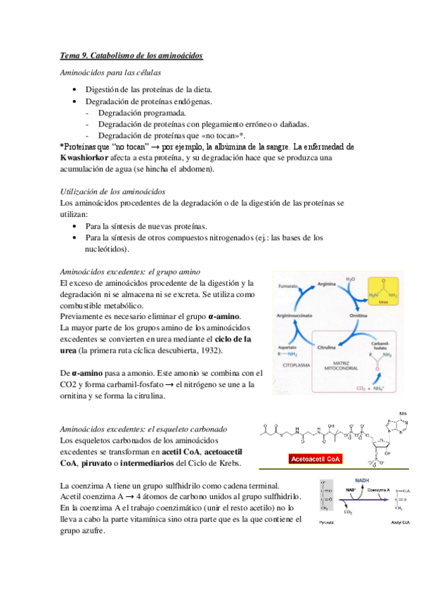 Miniatura del documento Tema-9.pdf