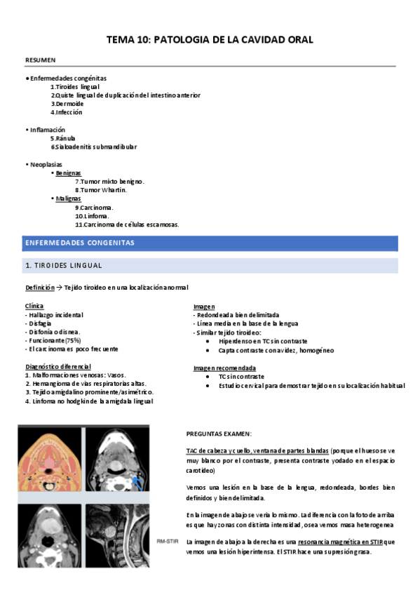Miniatura del documento TEMA-10-pato-cavi-oral.pdf