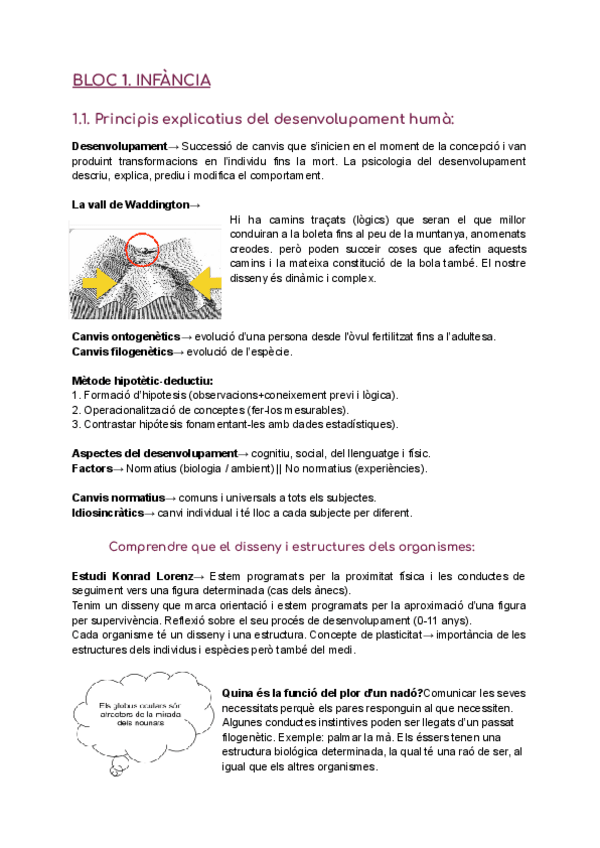 Miniatura del documento 1.pdf