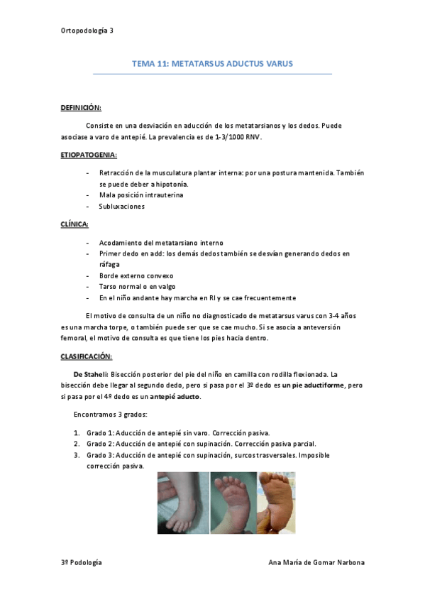 Miniatura del documento Tema 11 metatarsus.pdf
