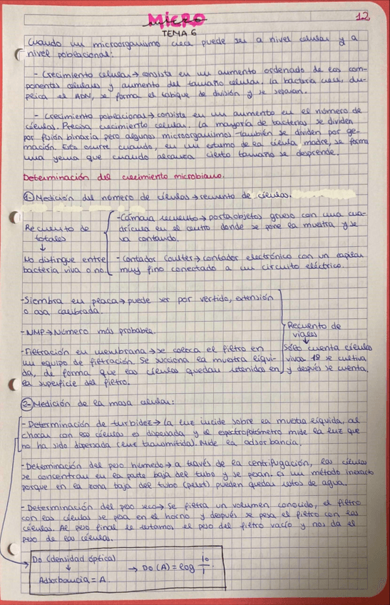 Miniatura del documento Micro-tema-6.pdf