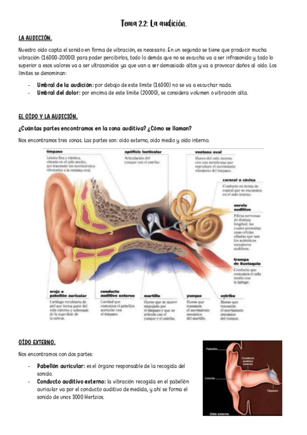 Miniatura del documento Tema-2.2.pdf