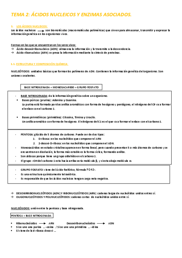Miniatura del documento TEMA-2-ACIDOS-NUCLEICOS.pdf